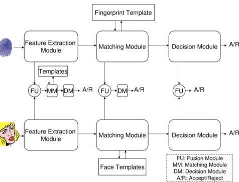 Figure 3.2: Multimodal System There are three possible fusion levels: