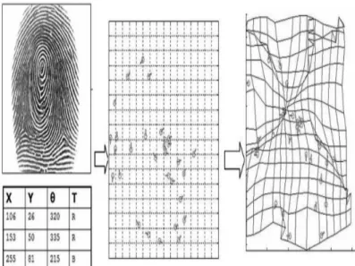 Figure 3.4: Cancelable Fingerprint