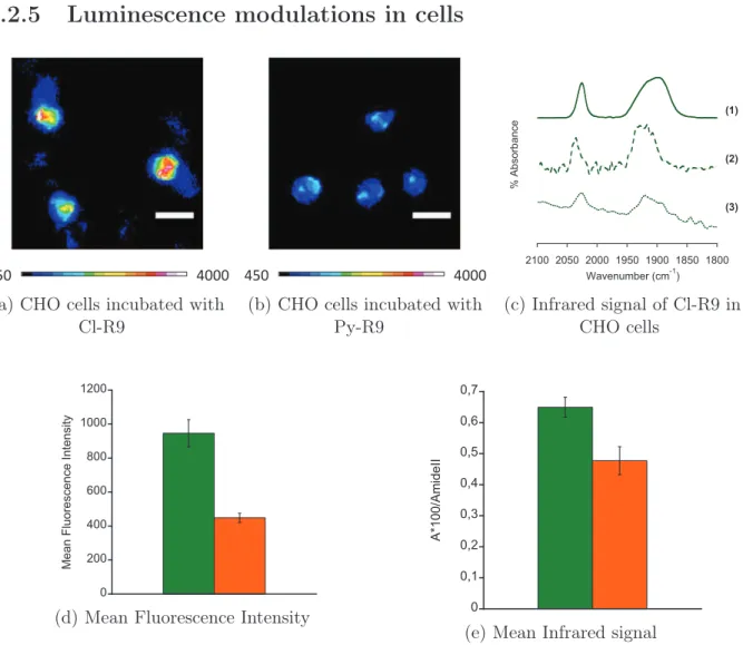 Figure 1.6: Comparison of Fluorescence and Infrared Signals of CHO cells incubated with SCoMPI-labelled R9.