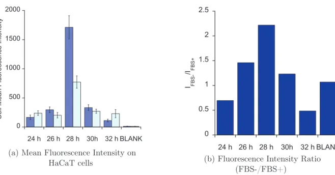 Figure 1.8: Internalization of Cl-R9 on synchronized or unsynchronized HaCaT cells.