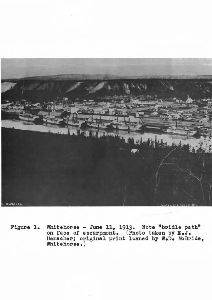 Figure 1. Whitehorse - June 11, 1913. Note "bridle path"