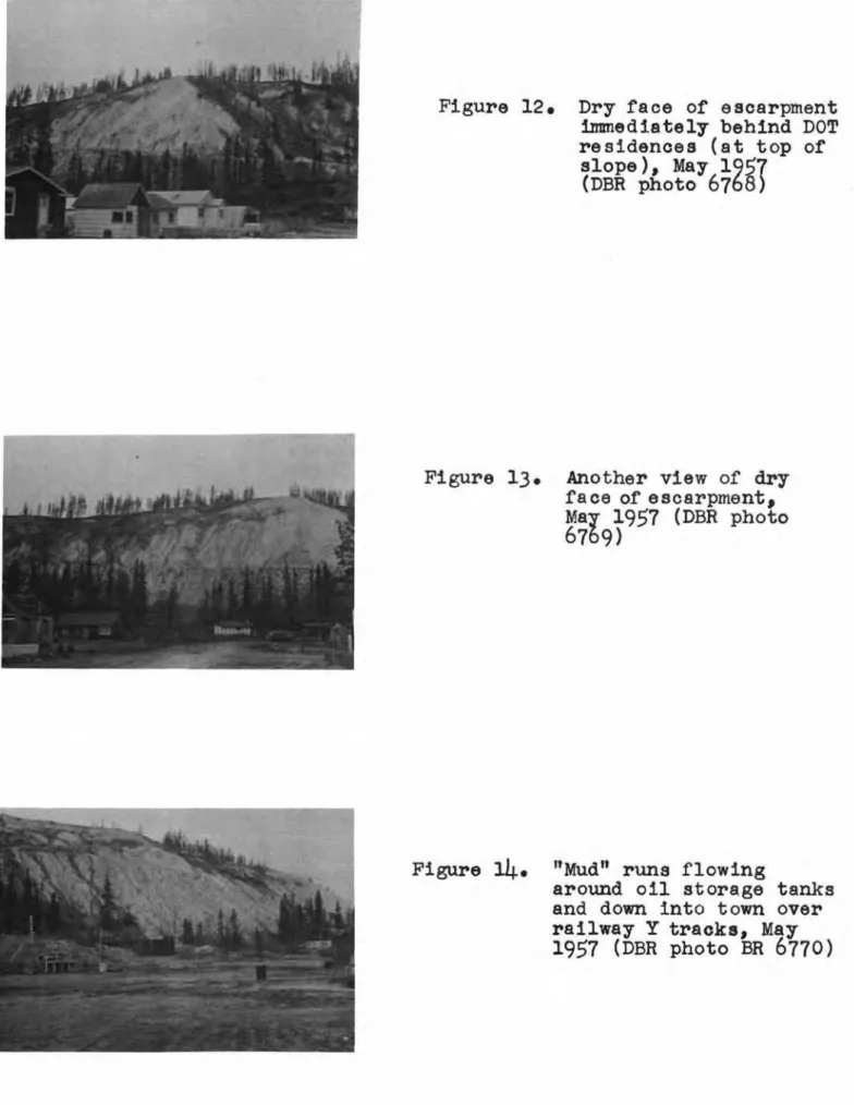 Figure 12. Dry face of escarpment immediately behind DOT residences (at top of