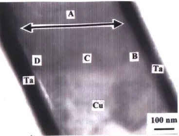 Figure 4-5  XTEM  image  for  EDS  tested areas