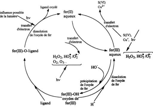 Figure II.2 : Cycle du fer dans l’eau atmosphérique selon Behra et Sigg (1990). 