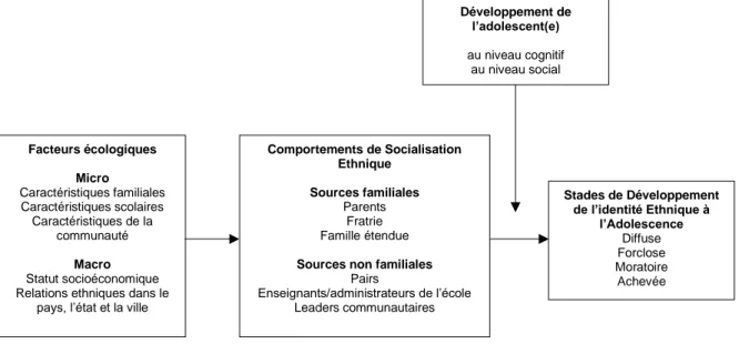 Figure 3 : Modèle de développement de l’identité ethnique chez les adolescents selon  Umaña-Taylor et Fine (2004)