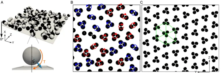 Fig. 1 Hydrodynamic self-assembly of active colloids near a surface. (A) Schematic of the system: The blue arrow indicates the particle axis and the black arrow shows the direction of the external field