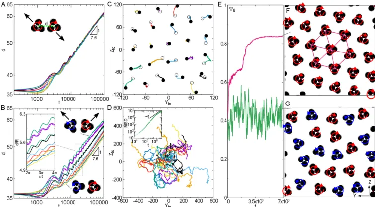 Fig. 4 Hydrodynamic interactions and self-assembly of spinners rotating the same (top row) and opposite (bottom row) directions
