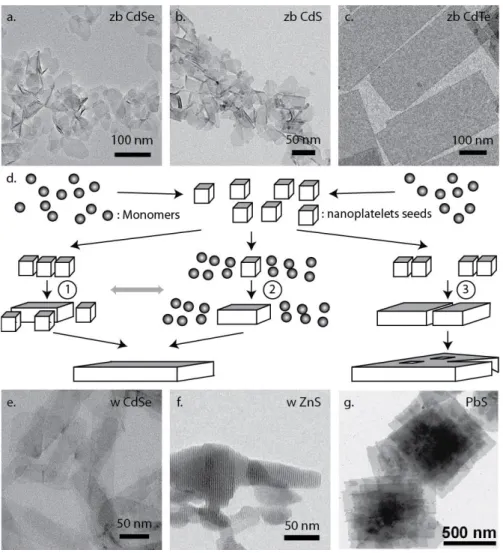 Figure 1: TEM images of zinc blende CdSe (a) CdS (b), CdTe (c) wurtzite CdSe (e) and ZnS (f), and rock salts PbS (g) NPLs,  from ref  23 