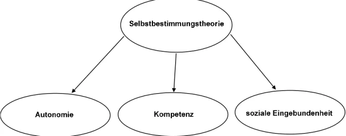 Abbildung 2: Selbstbestimmungstheorie nach Deci und Ryan (1993). 