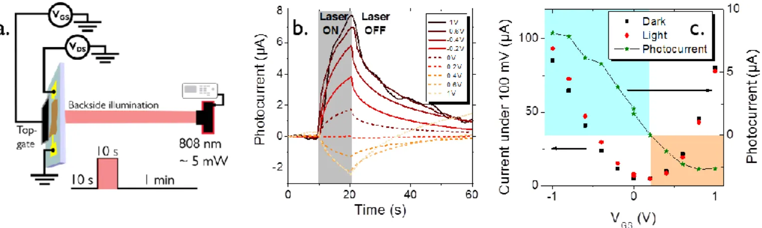Figure  4 :  Negative  photocurrent  behavior  under gate  bias.  a.  Scheme  of  the  experiment:  the  sample  with an electrolytic  gate  is  illuminated  from the back with an 808 nm laser