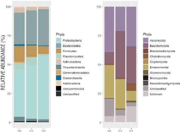 Figure IV- 2. Relative abundances of the phylum. (a) Relative abundances of the bacterial phyla