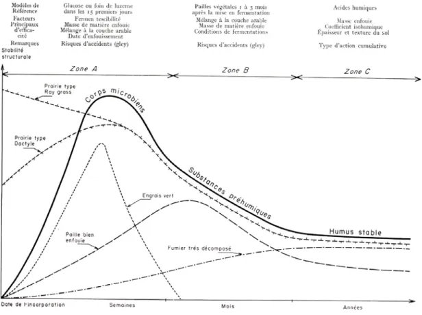 Figure 7 : Présentation schématique des différents types de stabilisation par les matières organiques (Monnier, 1965) 