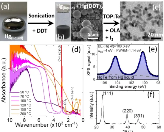 Figure 2 (a) Image of a liquid Hg drop. (b) Optical and SEM pictures of the solution of mercury  dodecylthiolate prepared from liquid Hg