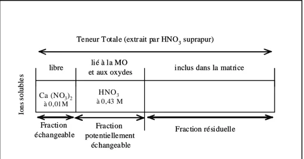 Figure II.5 – Schéma des fractions issues des extractions chimiques d’après Morel (1997)