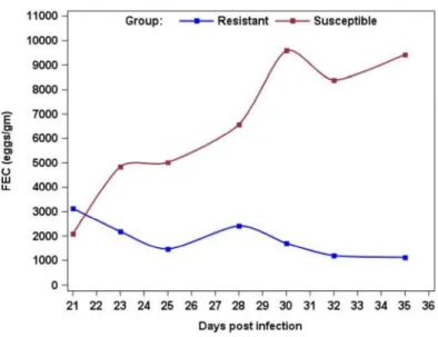 Figure 1. Geometric means of fecal egg count (FEC) comparing resistant and susceptible Creole 577 