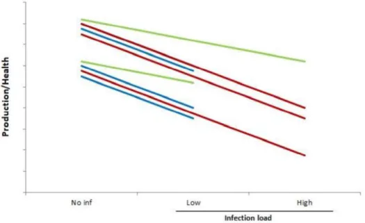 Figure 2. Schematic figure showing changes in  productivity/health for different  host genotypes  (blue, red and green line) after being exposed to same infection dose