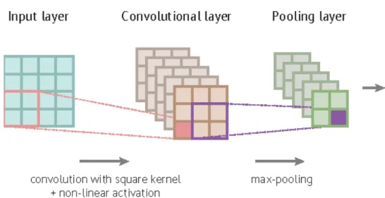 Figure 2.4: Maintaining relative spatial locations of the features throughout the CNN detectors have been used in computer vision systems such as Canny and Sobel filters.