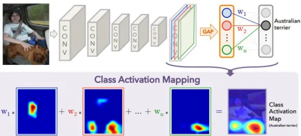 Figure 3.2: Class Activation Maps. Illustration originally appeared in [102]