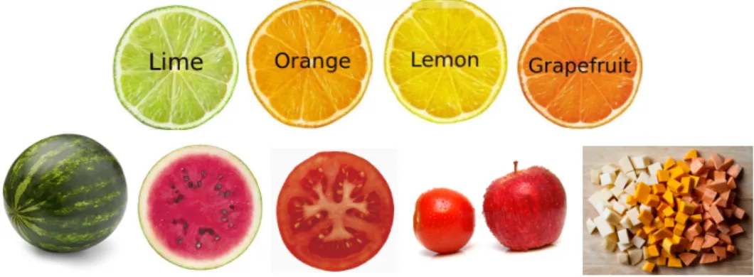 Figure 3.3: Inter and intra variability of Food.