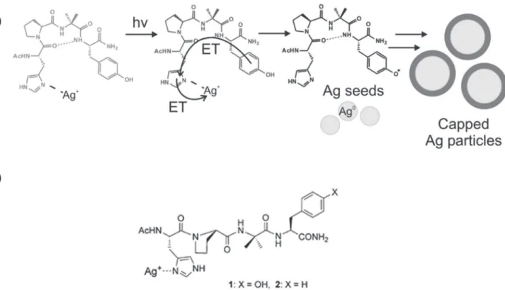 Figure 5.  The ﬁrst reduction steps during the formation of AgNPs from individual silver atoms are endergonic