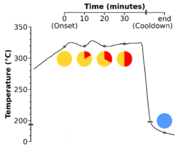 Figure A1. Temperature and aliquotation of the SPIONs sampling. The time points are graphically  described by a yellow clock with a red display of the elapsed minutes since reaching 320 °C: onset (0  min), 10 min, 20 min, 30 min