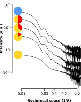 Figure A2. Small angle X-ray data showing the scattering intensity of the SPIONs for the q range of  the SAXS at each time point