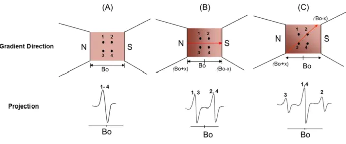 Figure I.19 : The concept of gradient of magnetic field in EPR imaging. 