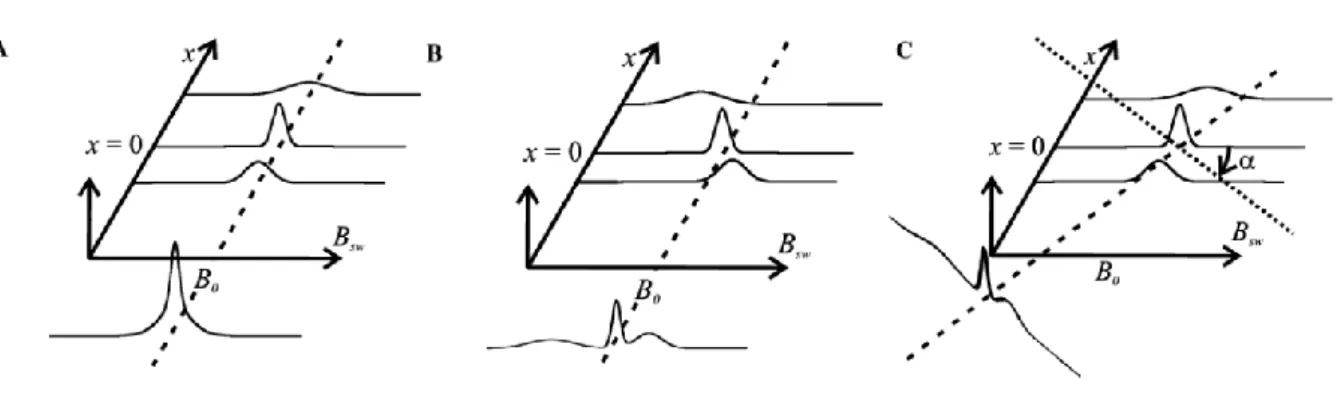 Figure  I.21 :  The  effect  of  a  linear  magnetic  field  gradient  on  spectra  recorded  for  a  2D  spectral–spatial object