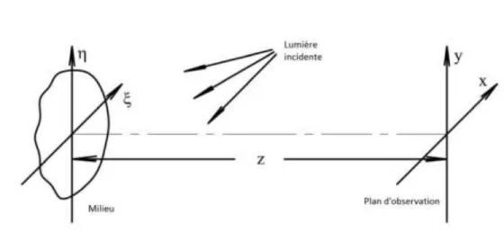 Figure I.8 Schéma illustrant la formation du speckle objectif. z est la distance entre le milieu et le plan  d’observation