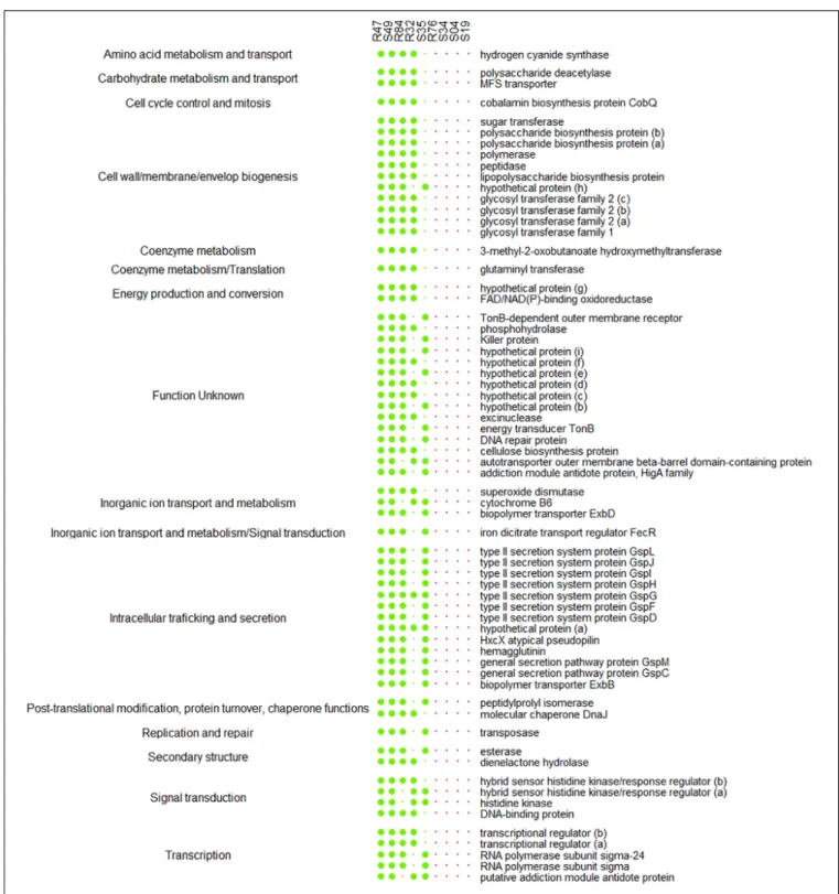 FIGURE 10 | List of the genes positively correlated to mycelial growth inhibition and exclusively present in at least four Pseudomonas strains with activity on mycelial growth