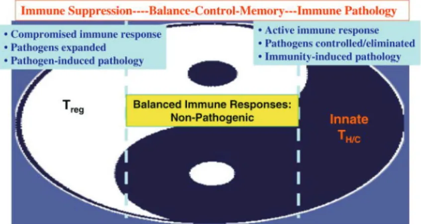 Figure 8 : Les Treg sont induits au cours des infections pour réguler  la réponse immune et contrôler l’hyper activation qui pourrait être  délétère