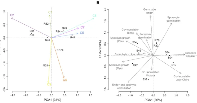 Figure S2 (A) PCA analysis on the clusters of co-occurring genes. (B) PCA analysis on the  phenotypic data of the in vitro experiments, plant colonization experiments and co-inoculation  experiments