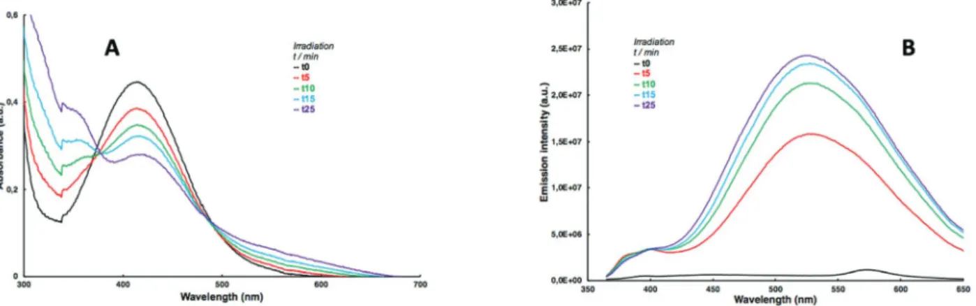 Fig. 1 Variation of UV absorbance (A) and ﬂ uorescence emission (B) after irradiation at 405 nm of a 55 μ M solution (acetonitrile/PBS 1 : 1 in v/v) of 7b.