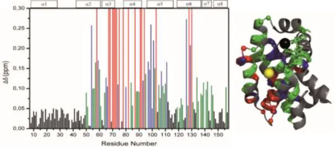 Figure 47 Données de titration du composé 35 sur la protéine Bcl-xL marquée à l'azote 15 (les barres rouges indiquent les  résidus élargis) 