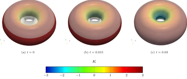 Figure 5: 3D Willmore flow of a torus toward the Clifford torus. The evolving surface is colored with the value of the curvature while the Clifford torus is represented in semi-transparent white.