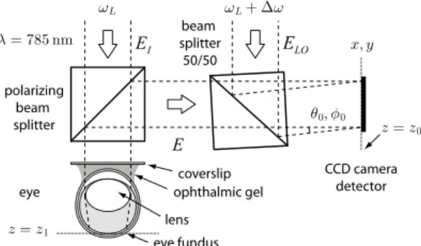 FIG. 1: Optical configuration. The eye fundus is illuminated in broad field through the dilated iris