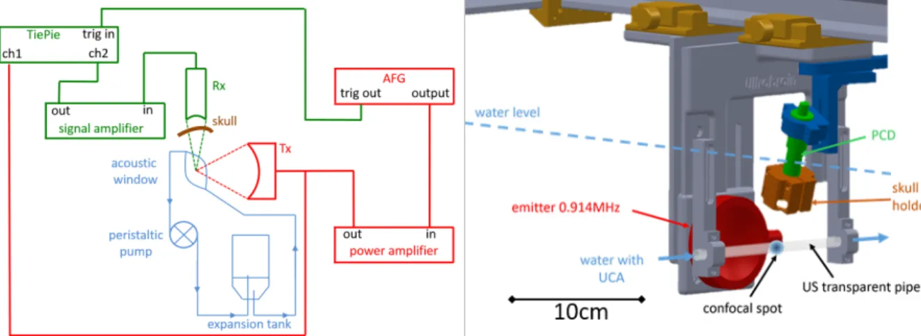 Figure 2. Left: Setup mimicking BBB opening; in red, the power circuit with the ultrasonic emitter; in  green, the signal circuit with the PCD (Rx); and in blue, the hydraulic circuit for UCA circulation