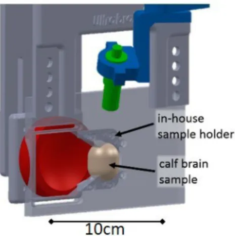 Figure 3. Detailed view of the brain sample holder. The brain sample is positioned at the confocal spot  of both emitter (in red) and PCD (in green)