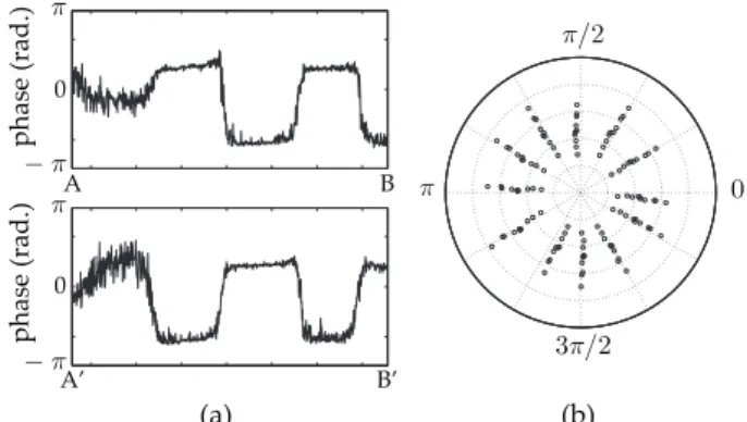 FIG. 4: Amplitude (a) (black: nodes, white: antinodes) and phase maps (b-d) of a vibrating sheet of paper with no phase shift (c), and π phase shift between the excitation and the strobe illumination (d)