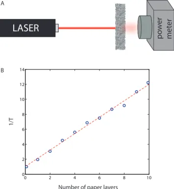 Figure S2B displays 1/T as a function of M. A linear fit of experimental points leads to an estimation of l t using Eq.S2.