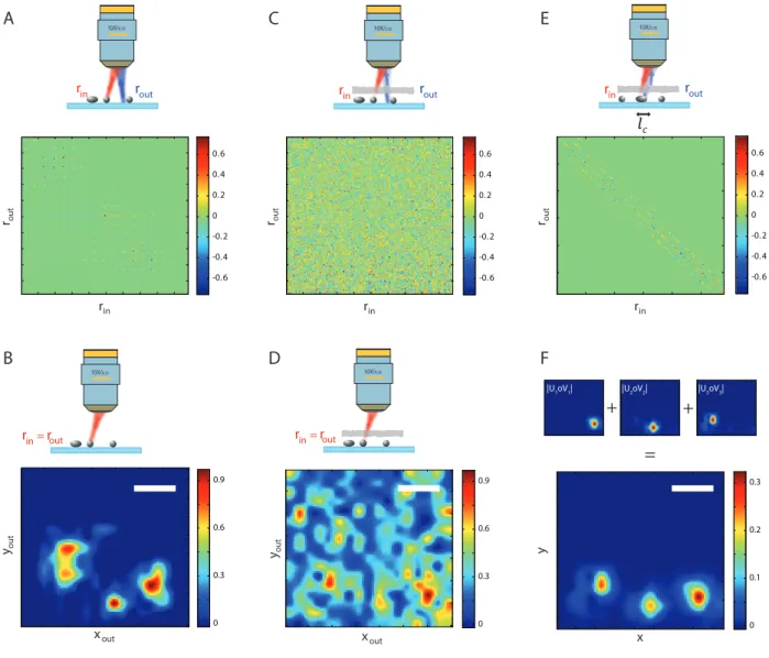 FIG. 3: Imaging in the deep multiple scattering regime. (A) Reflection matrix R associated to three 5-µm diameter ZnO beads deposited on a glass slide