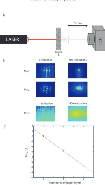 FIG. S1: Measurement of the scattering mean free path in the paper. (A) Experimental set up used for the measurement of the ballistic intensity I B 