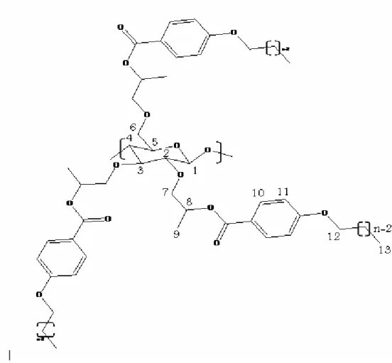 Figure 20 shows the ideal theoretical structure of ABPC-n. 
