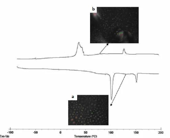 Figure 26 presents the DSC curves and the corresponding  morphologies of ABPC-10 during heating and cooling