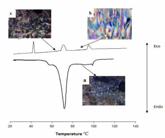 Figure 28 shows the phase transformation of ABPC-14 and  its corresponding morphologies (PLM images) upon heating and  cooling