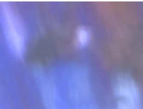 Figure 35 shows the texture obtained from HPC B  solutions  in DMA with 60 wt % concentration.The solution shows strong  birefringence and iridescent color which is typical for cholestric  liquid crystals