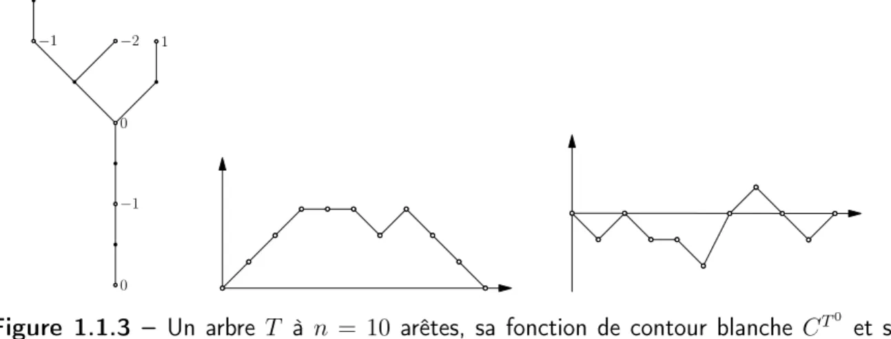 Figure 1.1.3 – Un arbre T à n = 10 arêtes, sa fonction de contour blanche C T 0 et sa fonction d’étiquette L T 0 .