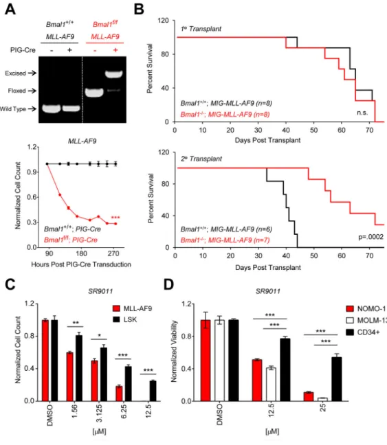 Figure 5. Genetic knockout models reveal a leukemia-specific dependence on Bmal1