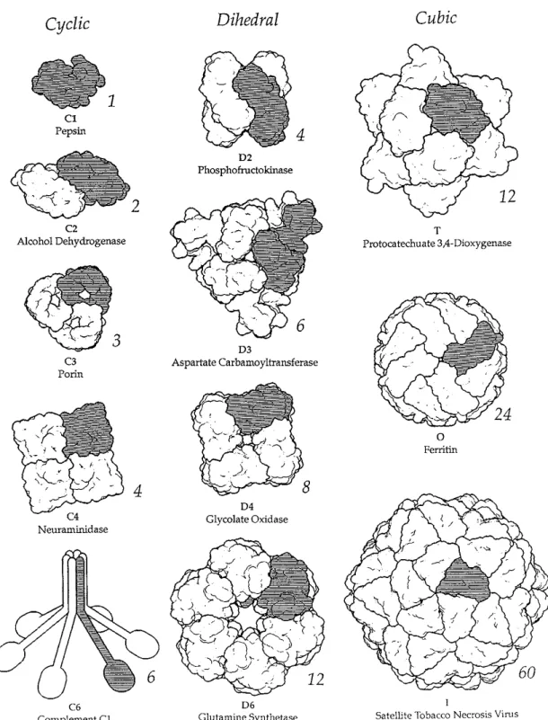 Figure 5 : Groupes de symétries cristallographiques.