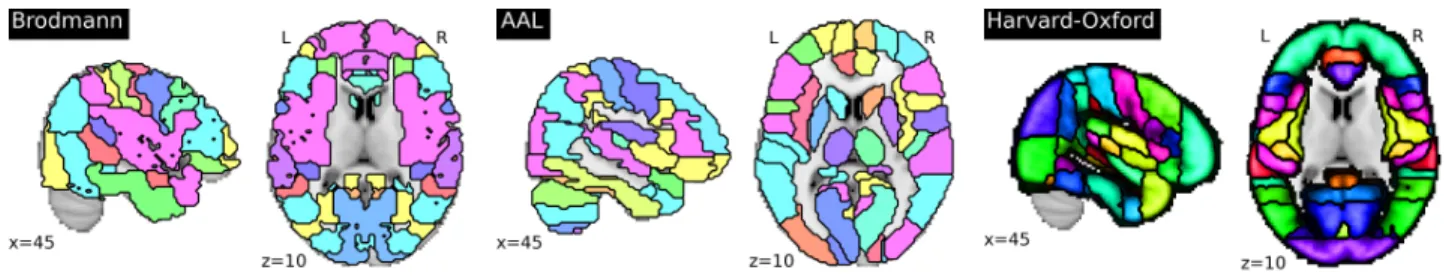 Figure 2.1: Reference anatomical atlases. Left: The Brodmann atlas (Brodmann, 1909). Middle: The  au-tomated anatomical labeling atlas.